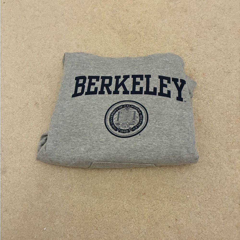 Gray Berkeley Hoodie View 3